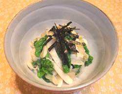 �V�ʔK�ƍ؂̉Ԃ̂킳�јa��