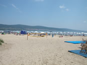 �T�j�[�r�[�`